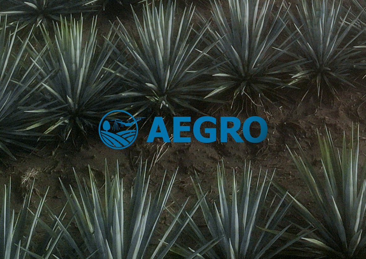 Aegro — aegro 10
