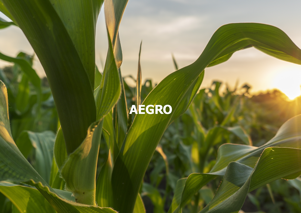Aegro — aegro 11