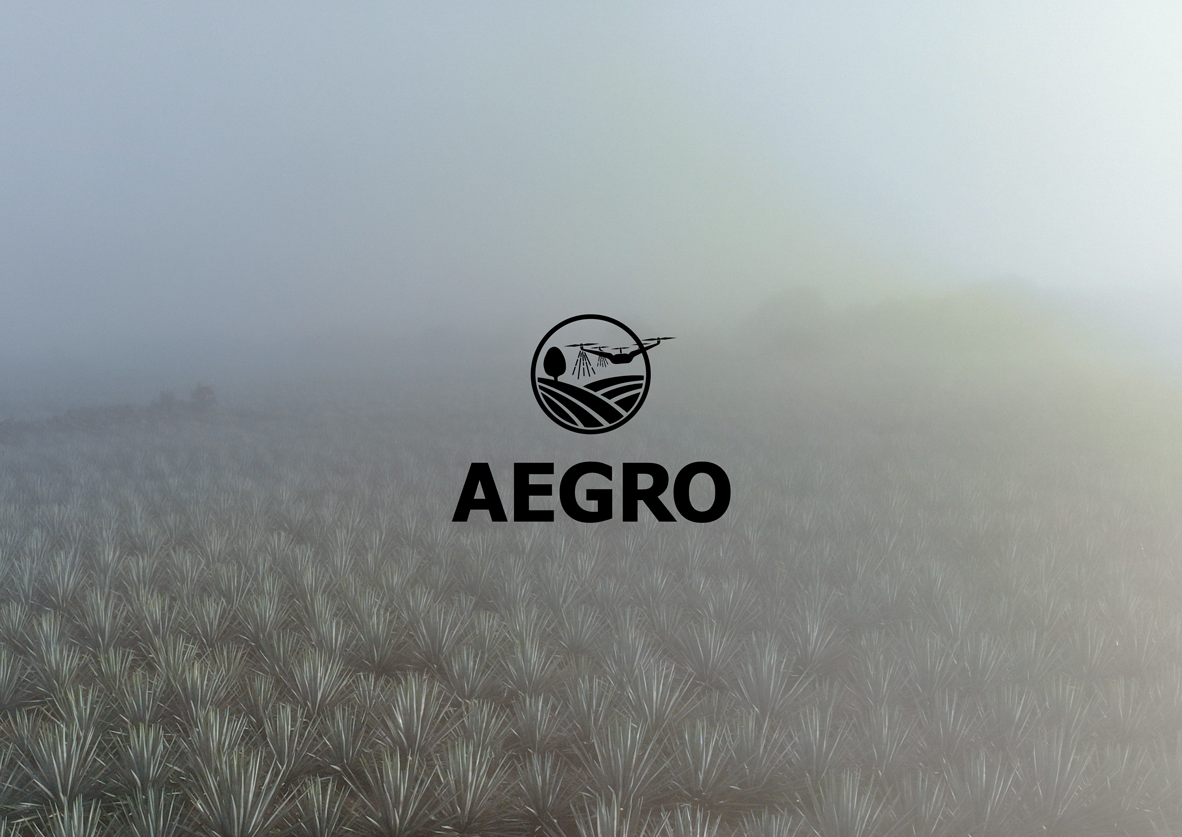 Aegro — aegro 14