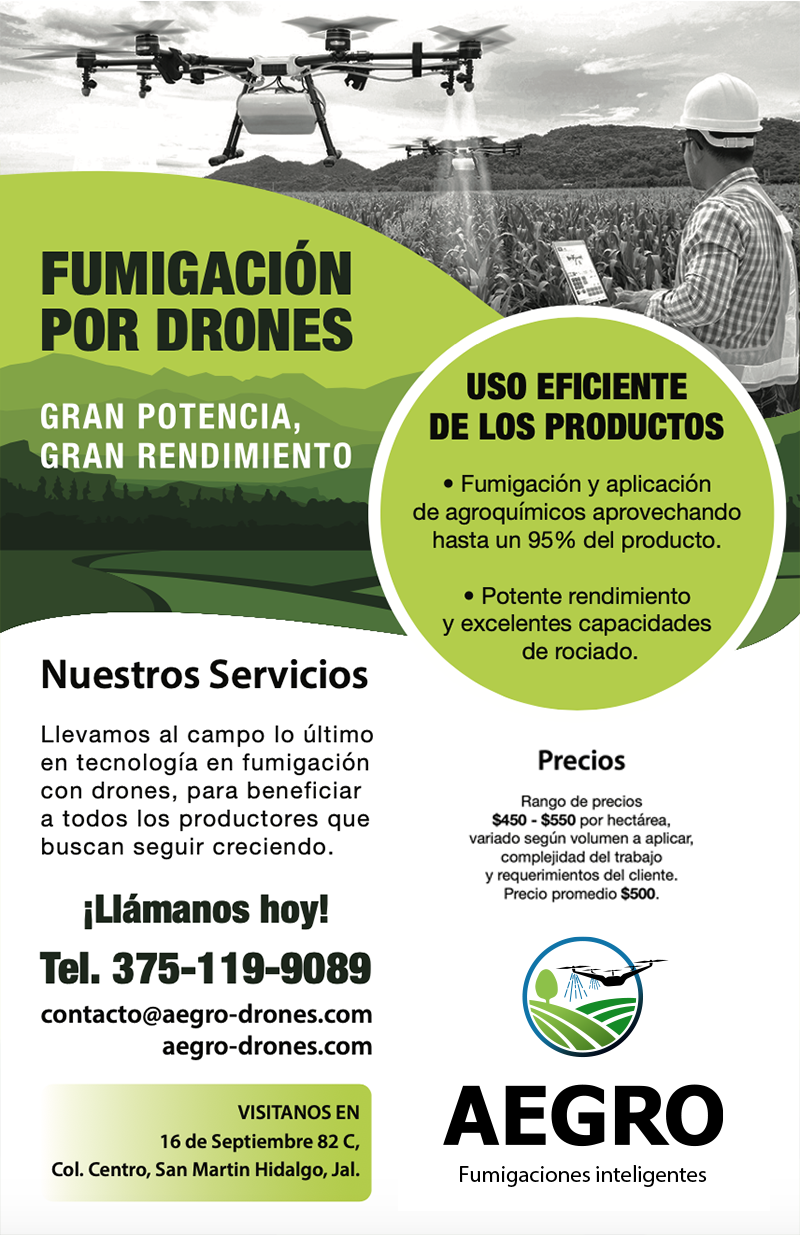 Aegro — aegro flyer2