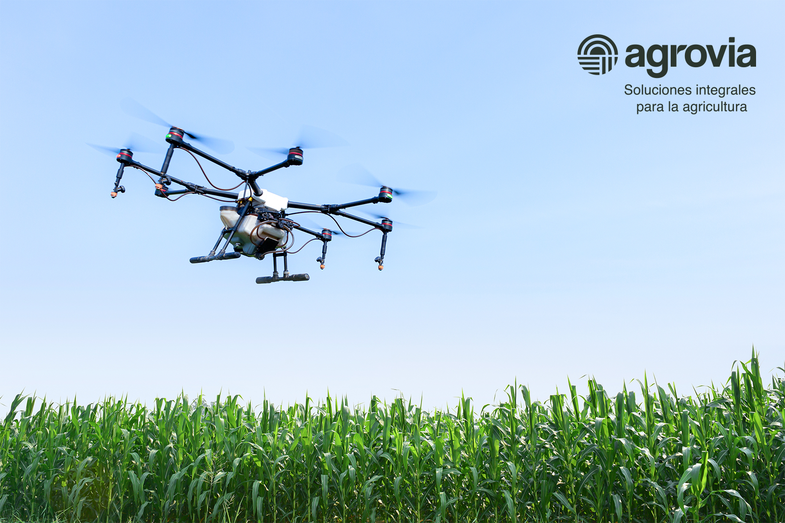 Agrovia — agrovia cover