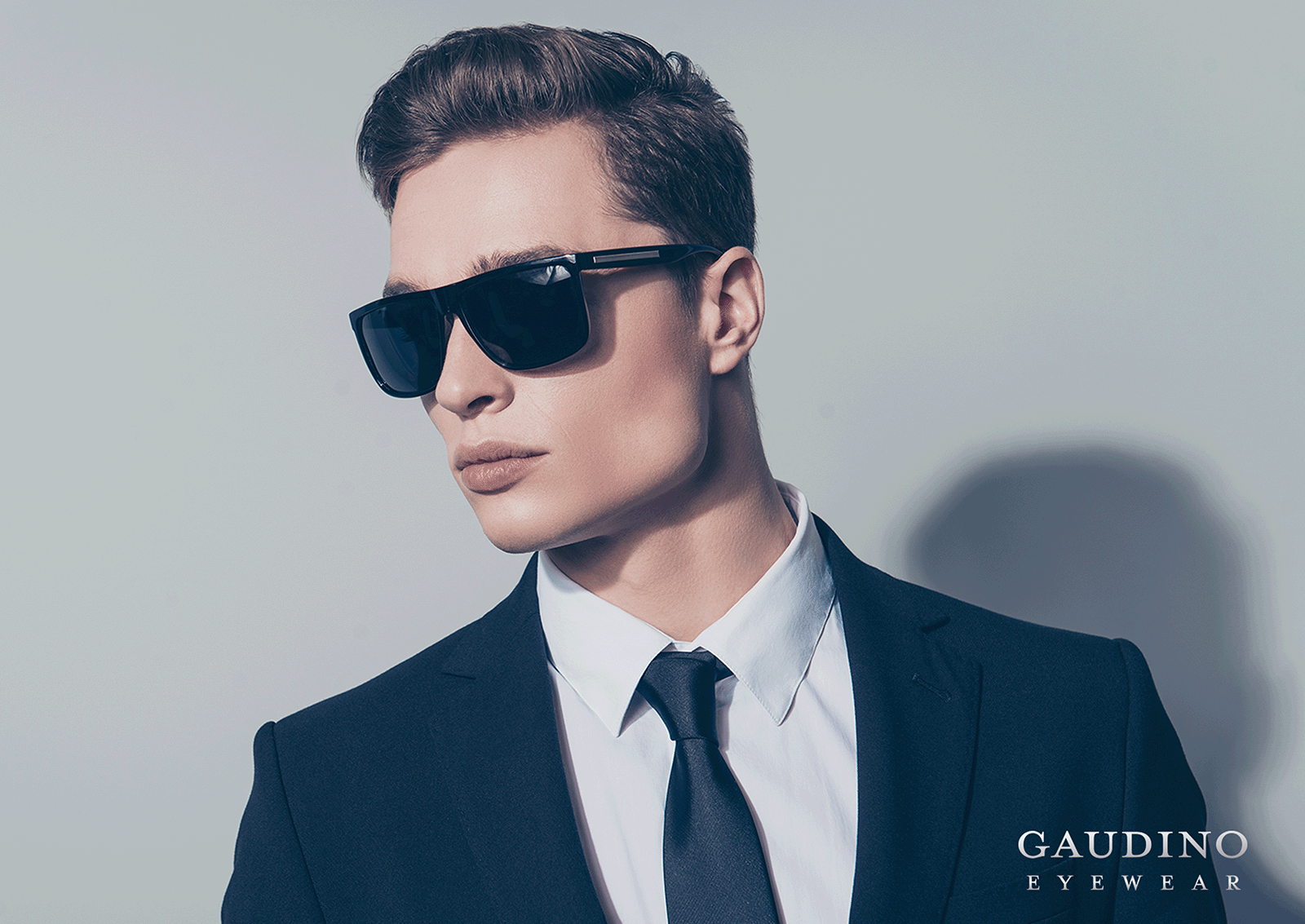 Gaudino — gaudino 1