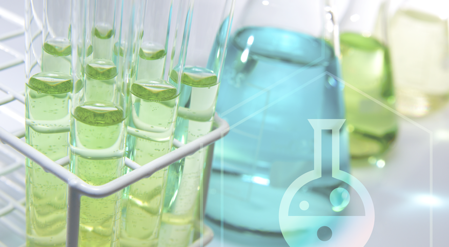 Humana Labs — estudio 12