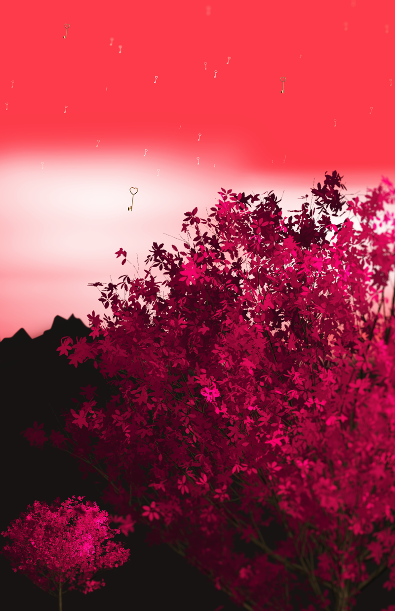 Solitude — Solitude05